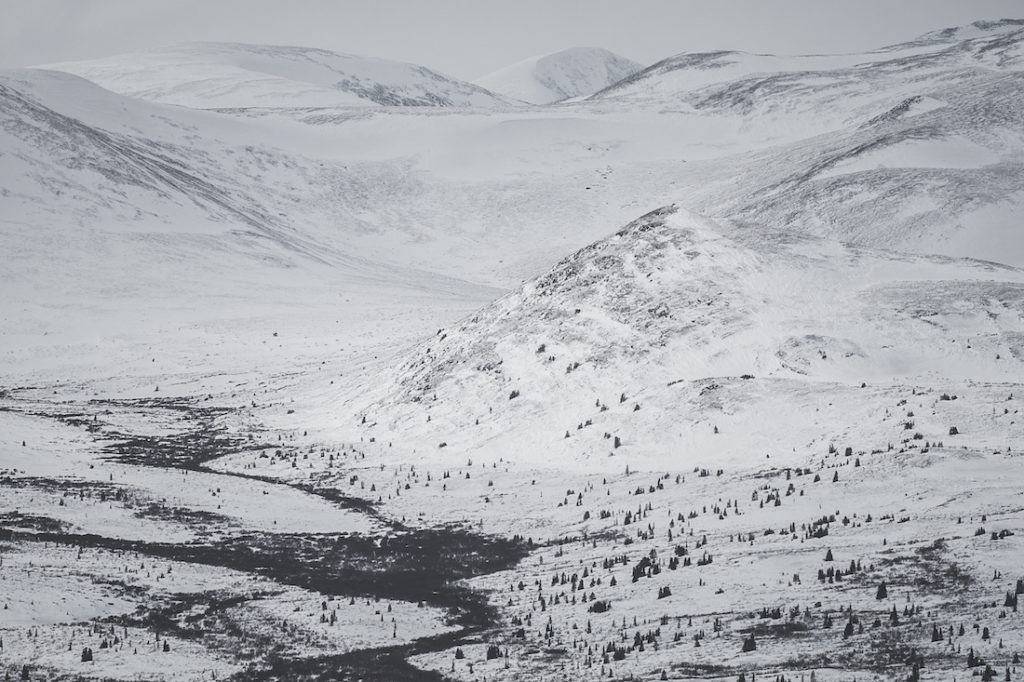 Canada. Credits: Peter Zenkl